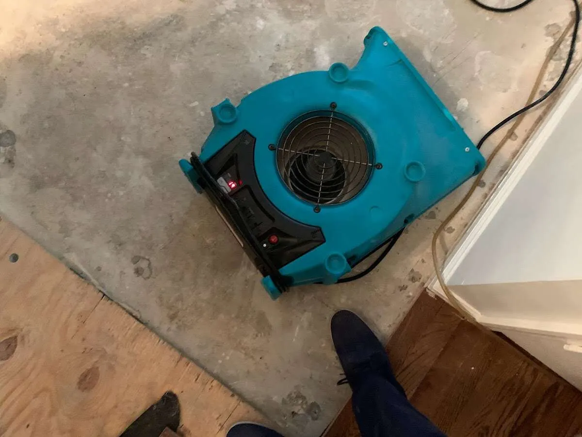 Air mover drying subfloor during Leak Detection & Repair in Lighthouse Point